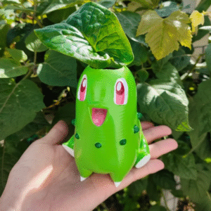 Maceta CHIKORITA